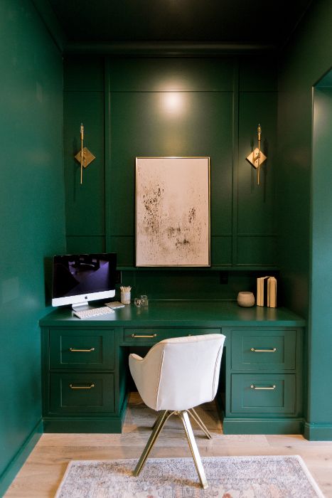 Whole-home remodel in Windermere